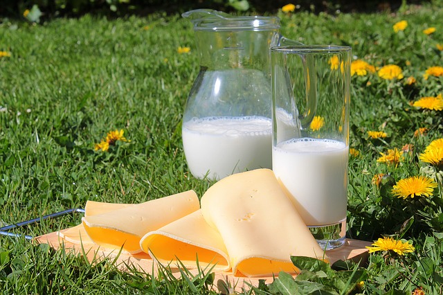 Melk Invloed, verschillende parameters op gehalte B-vitamines in melk
